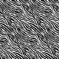 semplice motivo animale zebra disegno vettoriale senza cuciture