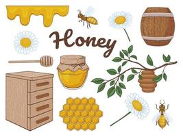 collezione di miele disegnata a mano. miele, api, fiori. insieme di elementi di colore. illustrazione vettoriale. isolato su bianco.