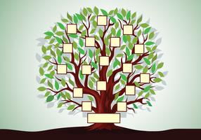Modello di albero genealogico vettore