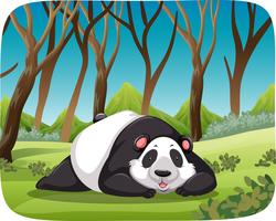Panda nella scena della foresta vettore
