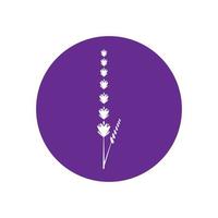 design piatto di vettore di logo di fiori di lavanda fresca