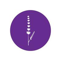 design piatto di vettore di logo di fiori di lavanda fresca