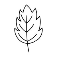 linea di contorno foglia.stile doodle.le foglie degli alberi, monstera, foglie tropicali.immagine in bianco e nero isolata su uno sfondo bianco.vettore vettore