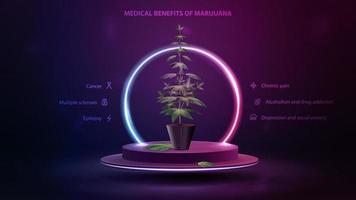 benefici medici della marijuana, poster con podio che fluttua nell'aria con cespuglio di cannabis in una pentola e immagine dei benefici. vettore