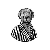 illustrazione del cane vestito da umano su sfondo bianco vettore