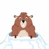 giorno della marmotta. marmotta divertente e felice guarda fuori dal suo buco di neve. illustrazione vettoriale isolato su uno sfondo bianco.