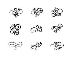 Vector set di elementi floreali calligrafici, divisori e ornamenti fioriti per la decorazione della pagina e il design del telaio. Sagoma decorativa per partecipazioni di nozze e inviti. Fiori e foglie d&#39;epoca