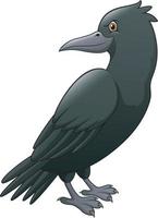 corvo cartone animato isolato su sfondo bianco vettore