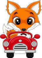 cartone animato baby volpe che guida un'auto rossa vettore