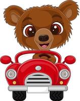 cartone animato orso bambino che guida un'auto rossa vettore