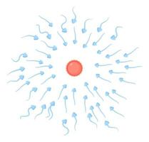 gli spermatozoi si spostano verso la vendita di uova. concetto di fecondazione, riproduzione, inseminazione. illustrazione isolata su bianco in stile cartone animato piatto vettore