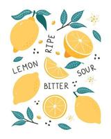 poster disegnato a mano di frutta al limone. doodle stile agrumi, foglie, semi e fiori illustrazione vettoriale per logo, stampa, banner, sfondo, etichetta, carta da imballaggio, menu, design e decorazione di confezioni alimentari