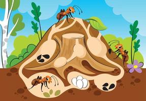 un formicaio in una sezione con formiche e passaggi si erge su un ceppo. radura della foresta vettore