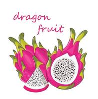 drago frutta su sfondo bianco tropicale esotico rosa estate design stampa pitaya vettore