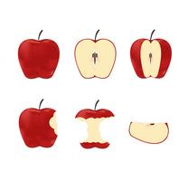 Vector l&#39;illustrazione delle mele mature rosse stabilite isolate su fondo bianco