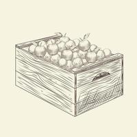 pieno di cassa di legno di mela fresca. scatola di mele. vettore