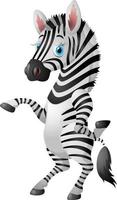 simpatico cartone animato zebra vettore
