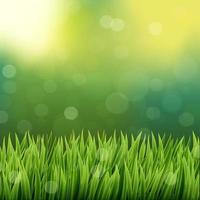 sfondo di erba verde naturale vettore