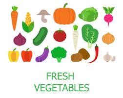 Set di verdure fresche biologiche - illustrazione vettoriale