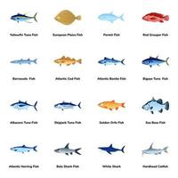 icone piatte di tipi di pesce atlantico vettore