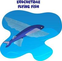 illustrazione vettore di pesce volante esocoetidae per la lezione del bambino o aggiunta ai libri da colorare