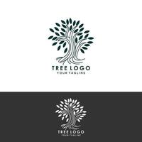 radice dell'illustrazione del logo dell'albero. vettore silhouette di un albero, astratto vibrante logo design albero, vettore radice - albero della vita logo design ispirazione isolato su sfondo bianco.