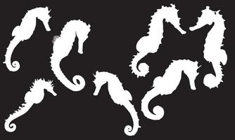raccolta di cavalluccio marino su sfondo bianco e nero isolato disegno di illustrazione vettoriale