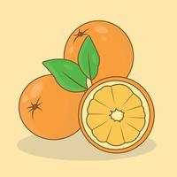 frutta arancione dolce isolata su fondo crema vettore