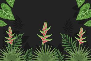 cornice di piante tropicali esotiche vettore