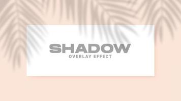 effetto di sovrapposizione delle ombre. luce soffusa trasparente e ombre dalle foglie di palma. scene di simulazione di ombre realistiche. vettore