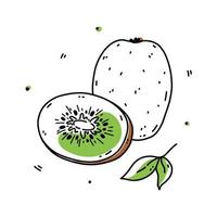 kiwi intero e mezzo isolato su sfondo bianco. cibo sano biologico. illustrazione disegnata a mano di vettore in stile doodle. perfetto per carte, logo, decorazioni, disegni vari.