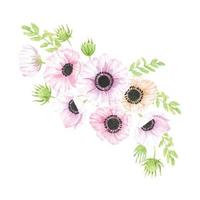 bouquet di fiori di anemone disegnato a mano dell'acquerello isolato su priorità bassa bianca vettore