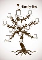 Modello di albero genealogico vettore
