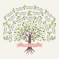 Modello di albero genealogico vettoriale