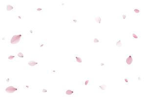 sfondo di vacanza di petali di sakura. vettore di vacanza