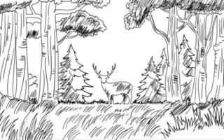 illustrazione di schizzo della foresta con i cervi vettore