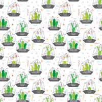 Cactus in terrari di vetro con sfondo geometrico. Illustrazioni vettoriali per la confezione regalo.