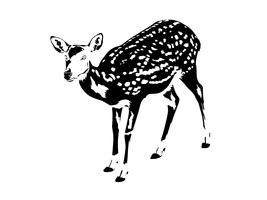 sagoma di cervo maculato in bianco e nero vettore