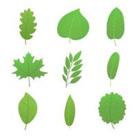 9 set di foglie verdi primaverili o estive collezione design piatto stile gradiente versione illustrazione vettoriale isolato su sfondo bianco.