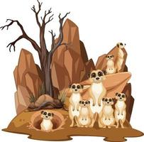 scena della natura isolata con la famiglia dei suricati vettore