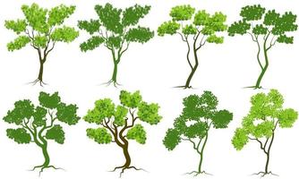 alberi vettoriali impostati isolati su sfondo bianco