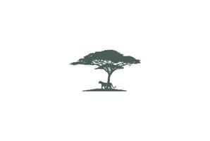 albero di acacia africano con tigre, giaguaro, leopardo, ghepardo, puma, pantera, silhouette, per, safari, avventura, logotipo, disegno, vettore