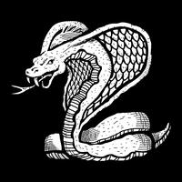 Illustrazione mortale del serpente della cobra vettore