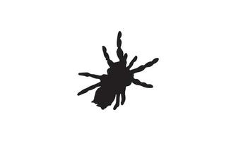 ragno illustrazione vettoriale design in bianco e nero