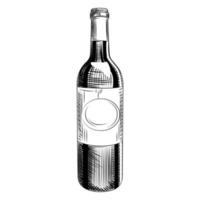 bottiglia di vino disegnata a mano. stile di incisione. oggetti isolati vettore