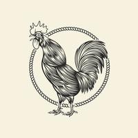 logo premium di design silhouette di pollo vettore