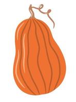 zucca colorata carina, zucca insolita, illustrazione singola su uno sfondo bianco isolato, zucca autunnale, verdura autunnale. illustrazione del fumetto, design moderno. zucca di halloween. vettore, stampa vettore