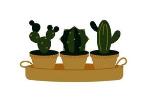 illustrazione vettoriale di cactus in vaso isolati su bianco. pianta domestica in un vaso. elemento di design d'interni.