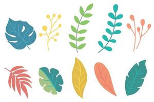 set pacchetto di foglie piatte elemento pianta tropicale illustrazione botanica vettore