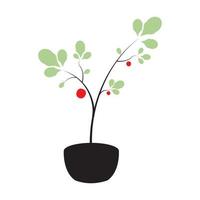 bella pianta frutta ciliegia pentole logo simbolo icona vettore illustrazione grafica design